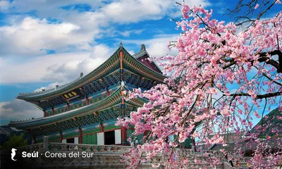 Corea del Sur