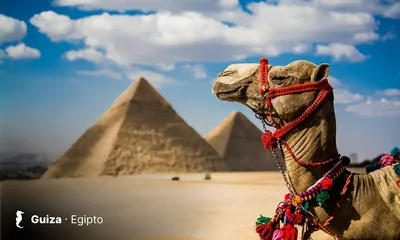 Egipto (El Cairo / Nilo)