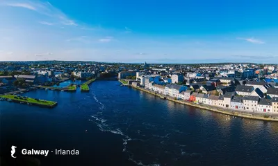 Trébol / British (Irlanda)