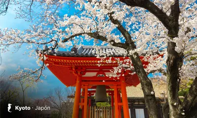 Japón Esencial a tu aire (8D7N)