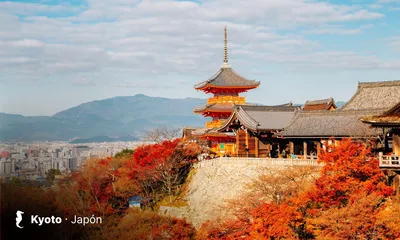 Japón moderno y espiritual (8D7N)