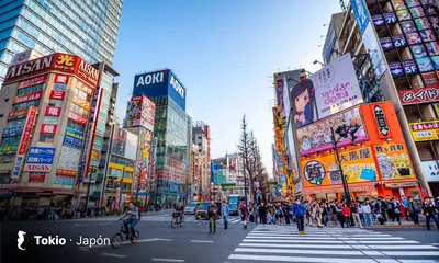 Japón y Corea para todos