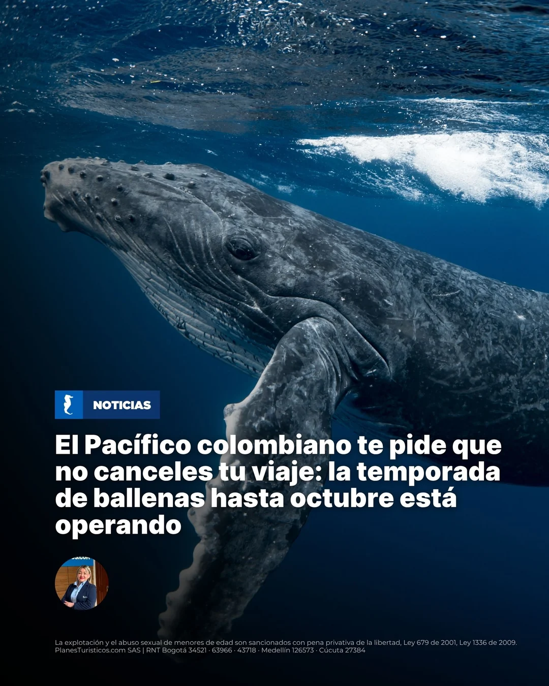 Ballena jorobada saltando frente a la costa del Pacífico colombiano