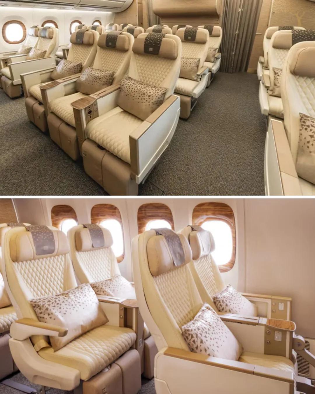 Asientos de clase turista premium en la cabina de un avión