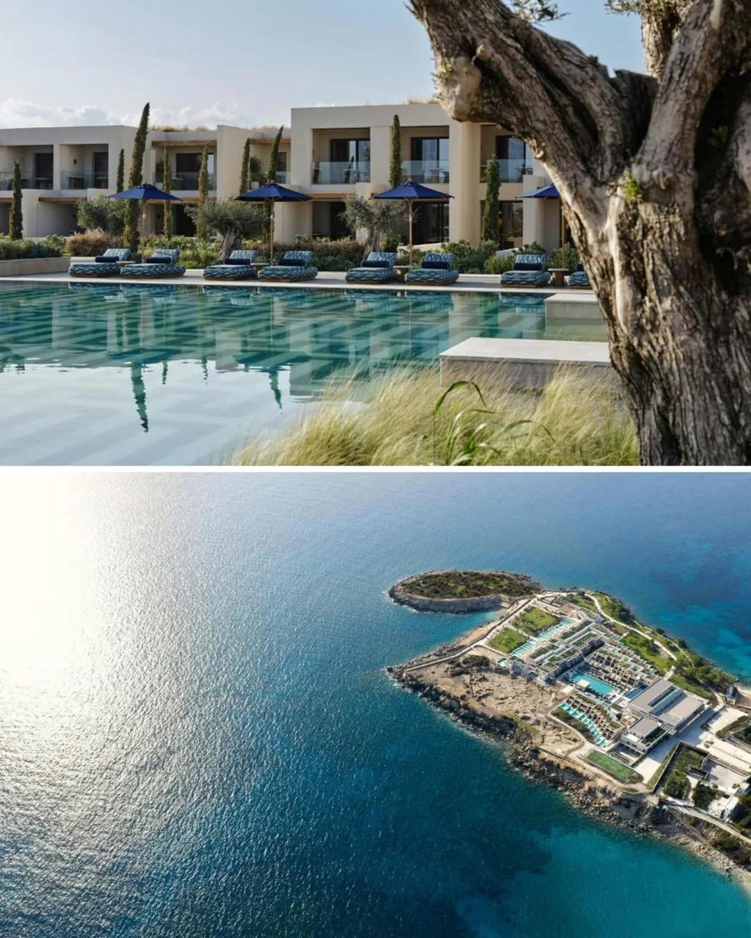 Piscina y habitaciones bajo un olivo