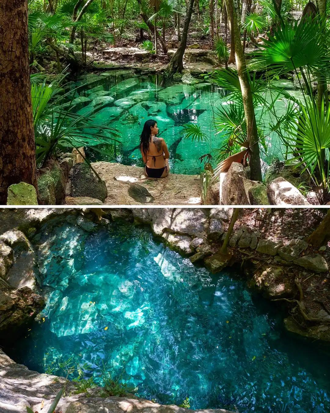 Cenote de aguas turquesa en la selva